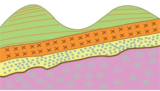난정합(nonconformity, 難整合)