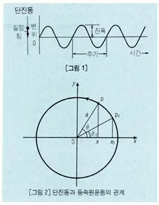 단진동 [simple harmonic oscillation, 單振動]