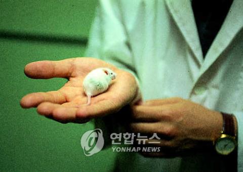 [사이언스타임즈] 日 연구팀 “‘줄기세포 이식’ 쥐 시력 회복”
