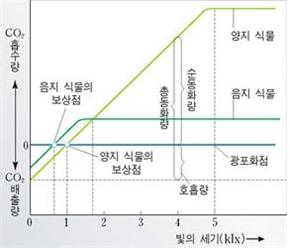 광포화점