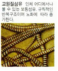 교원질섬유