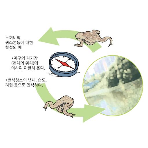 귀소본능