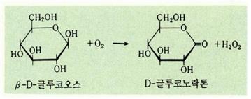 글루코오수