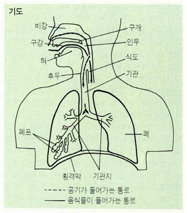 기도