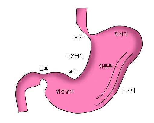 날문