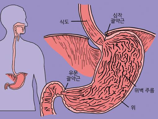 날문반사