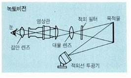 녹토비전