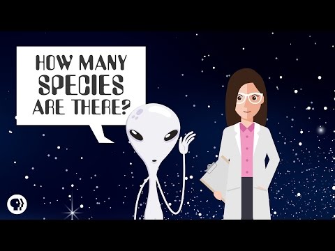 얼마나 많은 종(species)이 있을까?