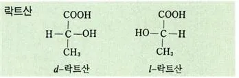 락트산(lactic acid)