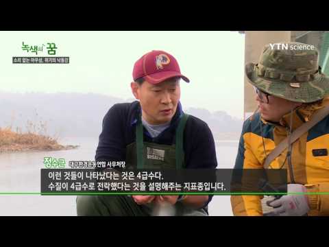 [사이언스 TV] 소리 없는 아우성, 위기의 낙동강