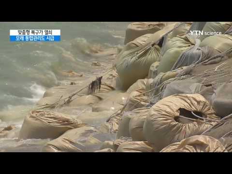 [사이언스 TV] 맞춤형 복구가 열쇠...모래 통합관리도 시급