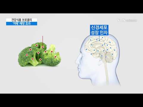 [사이언스 TV] 건강식품 브로콜리…'치매' 예방에도 효과