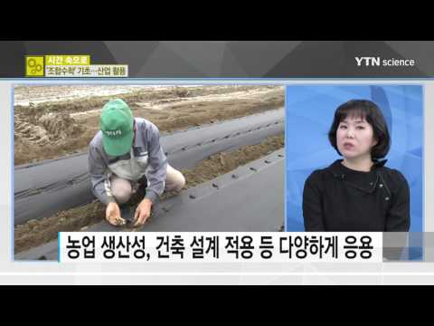 [사이언스 TV] 반도체 칩에 활용되는 '마방진' 원리…최초로 개발한 건 조선 수학자
