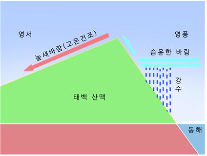 높새