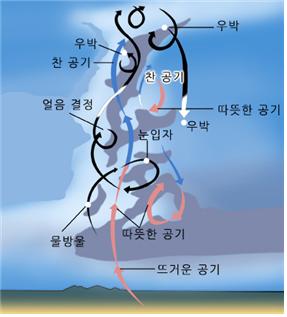 뇌우1