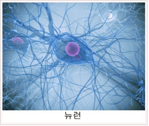 뉴런