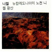 니켈