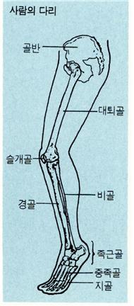 다