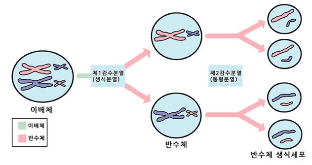 단상