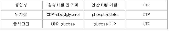 당지