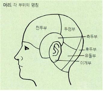 머리1