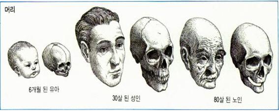 머리2