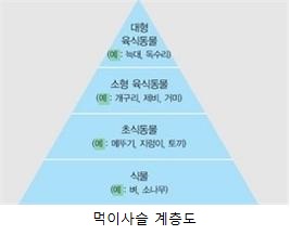 먹이사슬계층도