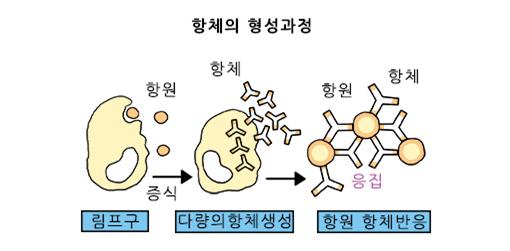 면역