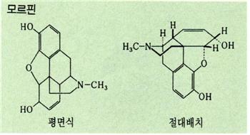 모르핀