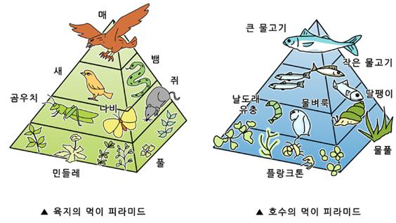 2차소비자