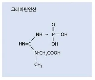 ADP (adenosine diphosphate)