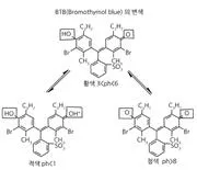 BTB 용액 [bromothymol blue] 