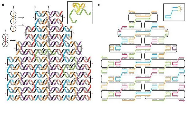 DNA 연결 효소 (DNA ligase)