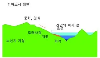 리아스식 해안[rias coast, ─式海岸]