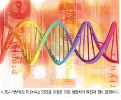 dna