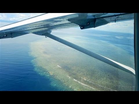 이상고온현상은 호주의 그레이트 배리어 리프(Great Barrier Reef)를 파괴하고 있다.