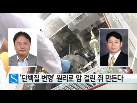 [사이언스 TV] '단백질 변형' 원리로 암 걸린 쥐 만든다