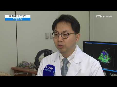 [사이언스 TV] 미 하버드 의대도 인정한 '침 치료' 효과