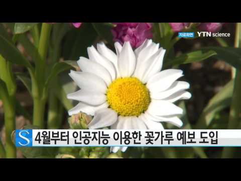[사이언스 TV] 4월부터 인공지능 이용한 꽃가루 예보 도입