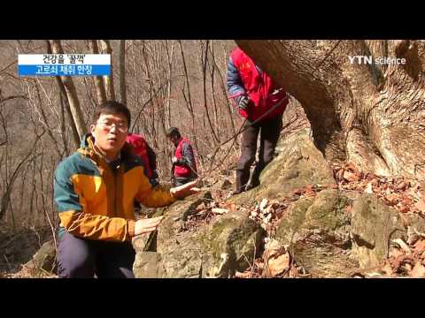 [사이언스 TV] '봄을 마신다' 인제 방태산 고로쇠 채취 한창
