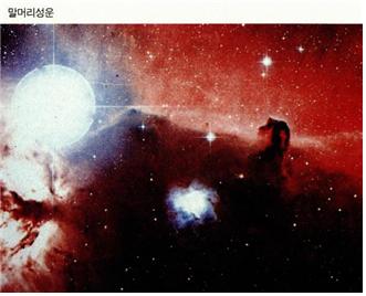 말머리성운
