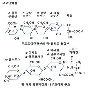 갈락토스 (galactose)