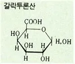 갈락투론산 (galacturonic acid)