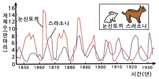 개체군 밀도 효과 (population density effect)