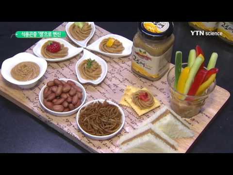 [사이언스 TV] 식용곤충 '갈색거저리'를 잼으로 개발