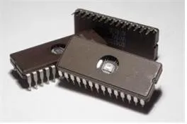 마이크로칩(microchip)