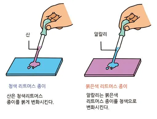 산성 용액 [acidic solution, 酸性溶液] 