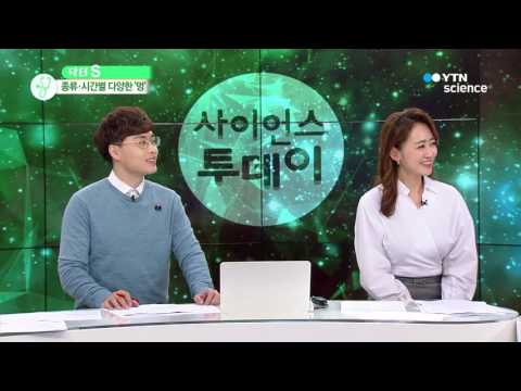 [사이언스 TV] 멍에는 달걀 마사지…멍에 대한 오해와 진실