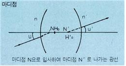 마디점