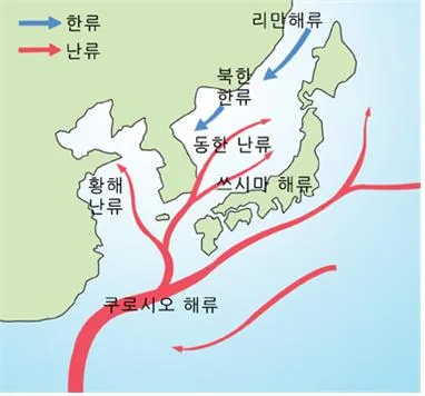동한 난류(East Korea Warm Current)